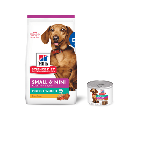 Perfect Weight Turkey Small Mini Adult Wet Dog Food