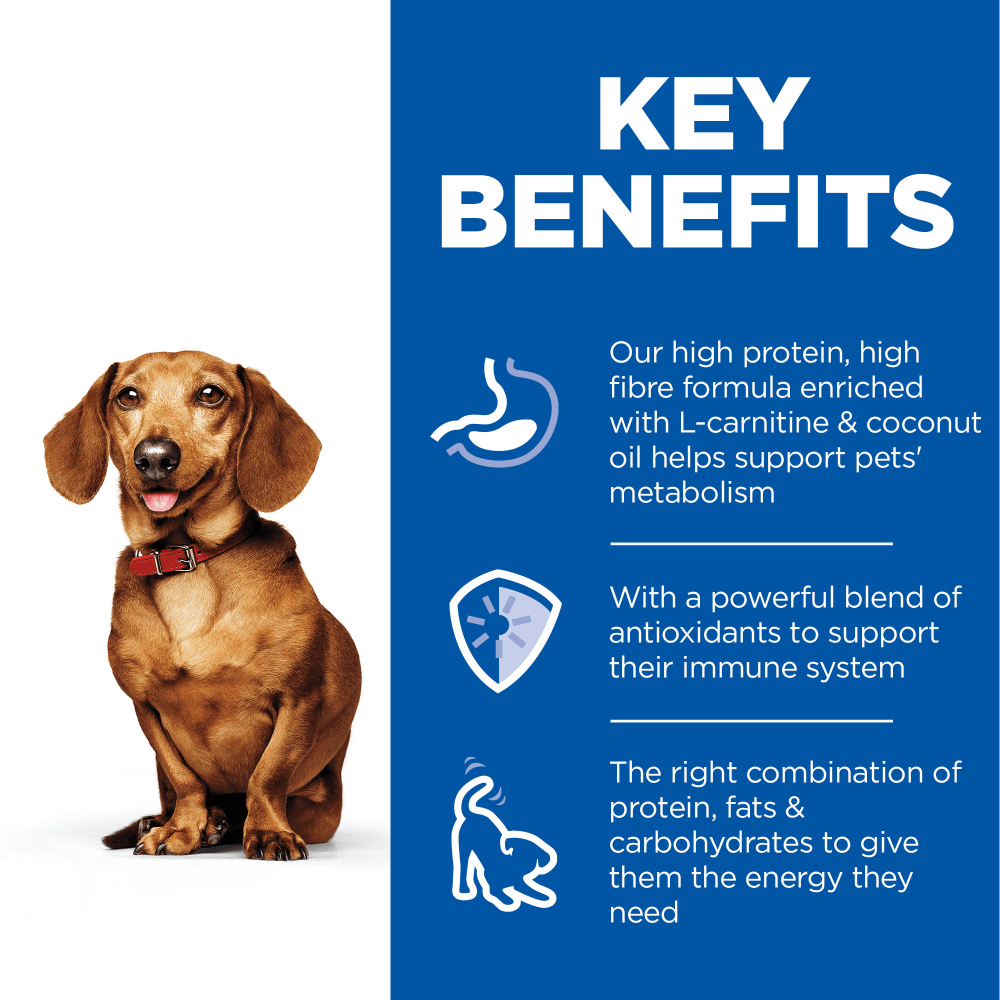 Perfect Weight Turkey Small Mini Adult Wet Dog Food