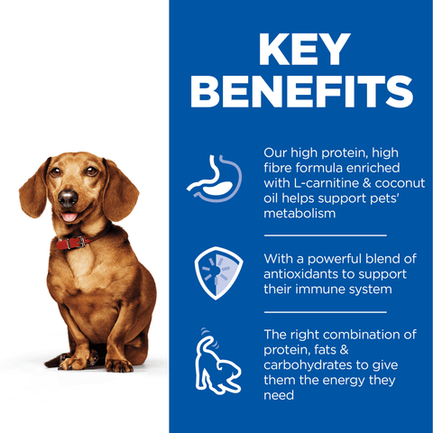 Perfect Weight Turkey Small Mini Adult Wet Dog Food