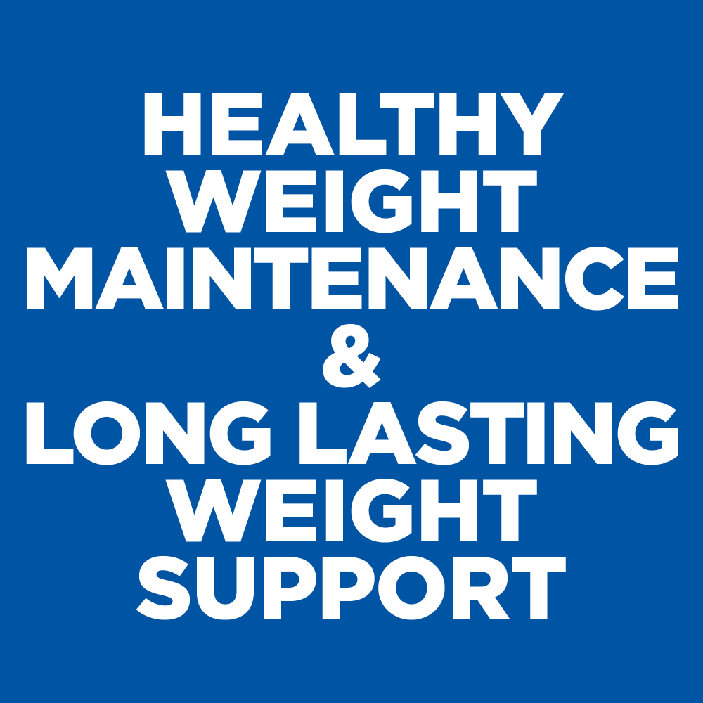 Perfect Weight Turkey Small Mini Adult Wet Dog Food