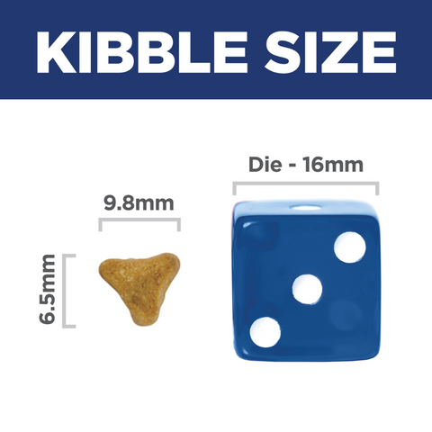 Senior 11 Plus Indoor Dry Cat Food