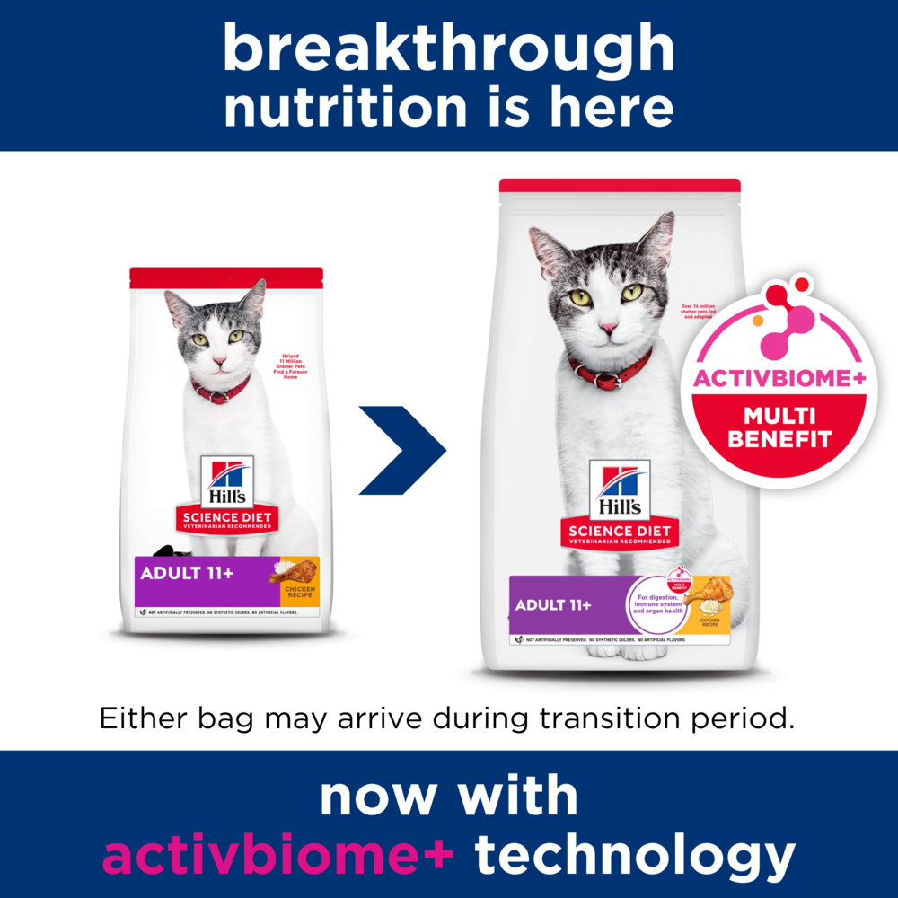 Senior 11 Plus Dry Cat Food