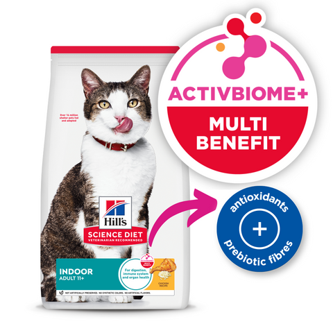 Senior 11 Plus Indoor Dry Cat Food