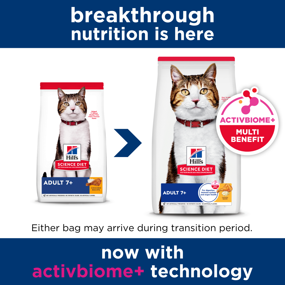 Senior 7 Plus Dry Cat Food