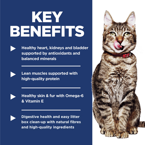 Senior 7 Plus Indoor Dry Cat Food