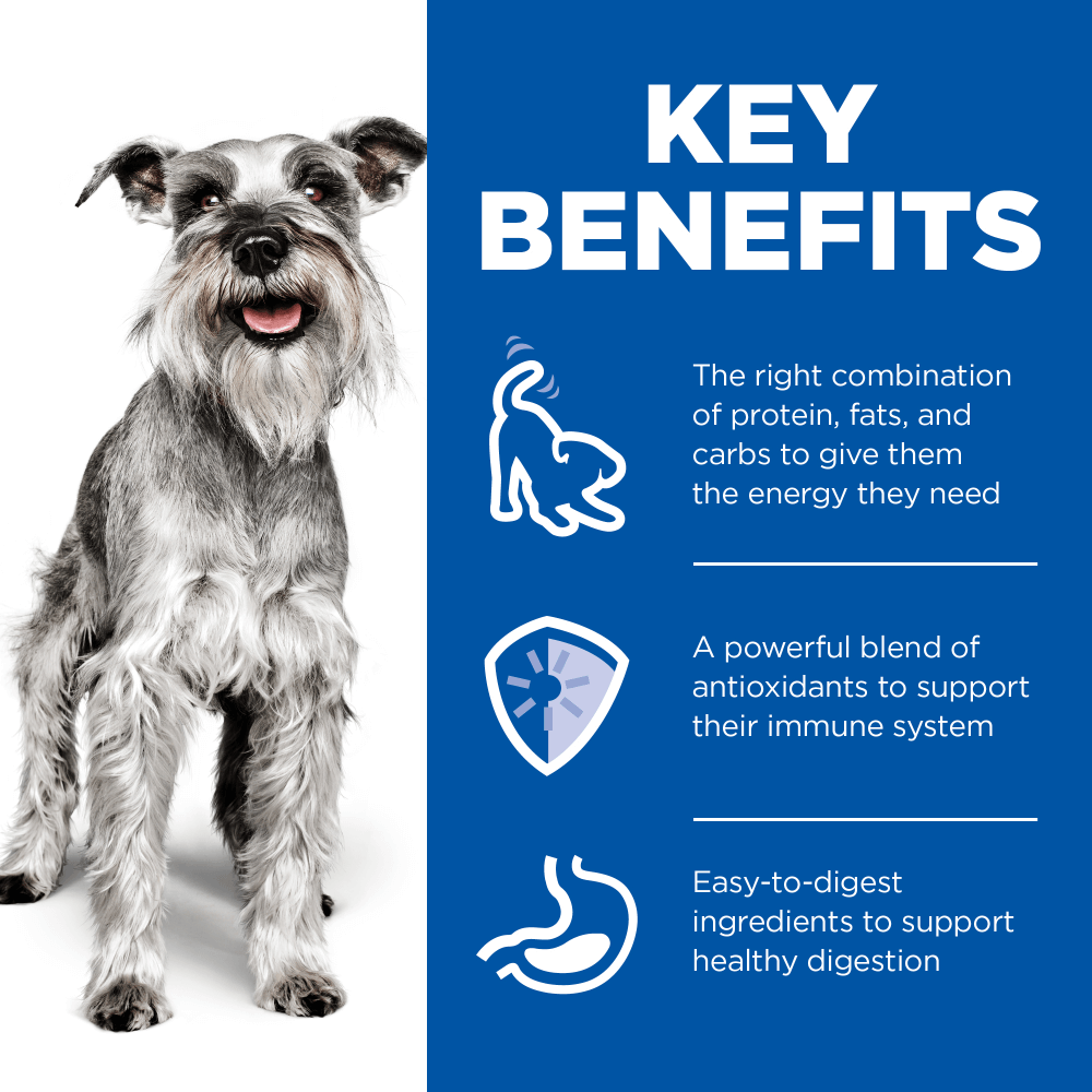 7 Plus Chicken Senior Small & Mini Breed Wet Dog Food