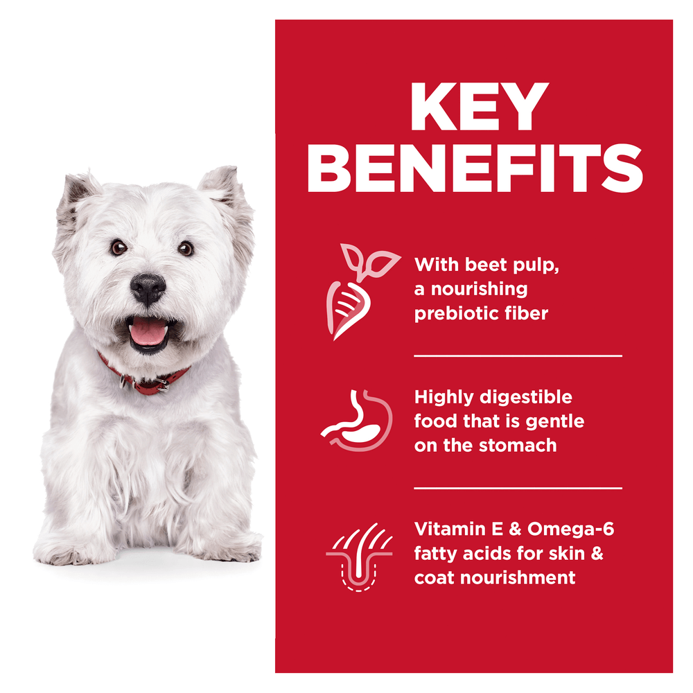 Sensitive Skin & Stomach Chicken Small Bites Adult Dry Dog Food
