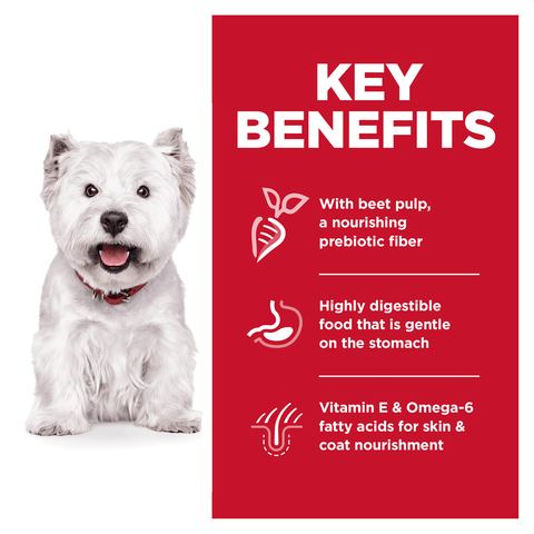 Sensitive Skin & Stomach Chicken Small Bites Adult Dry Dog Food