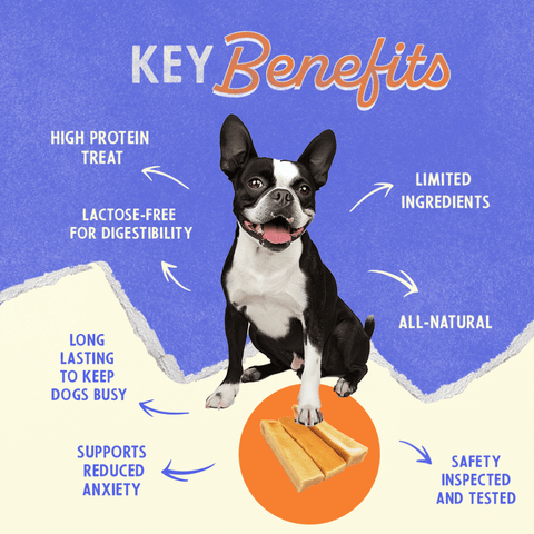 Cheese Medium Dog Treat