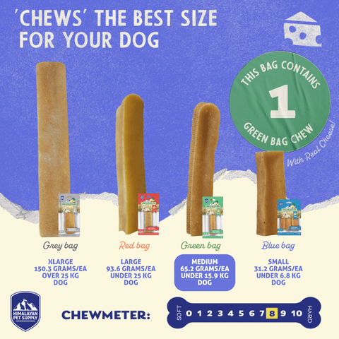 Cheese Medium Dog Treat