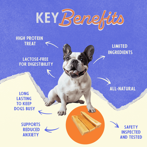 Cheese Small Dog Treat