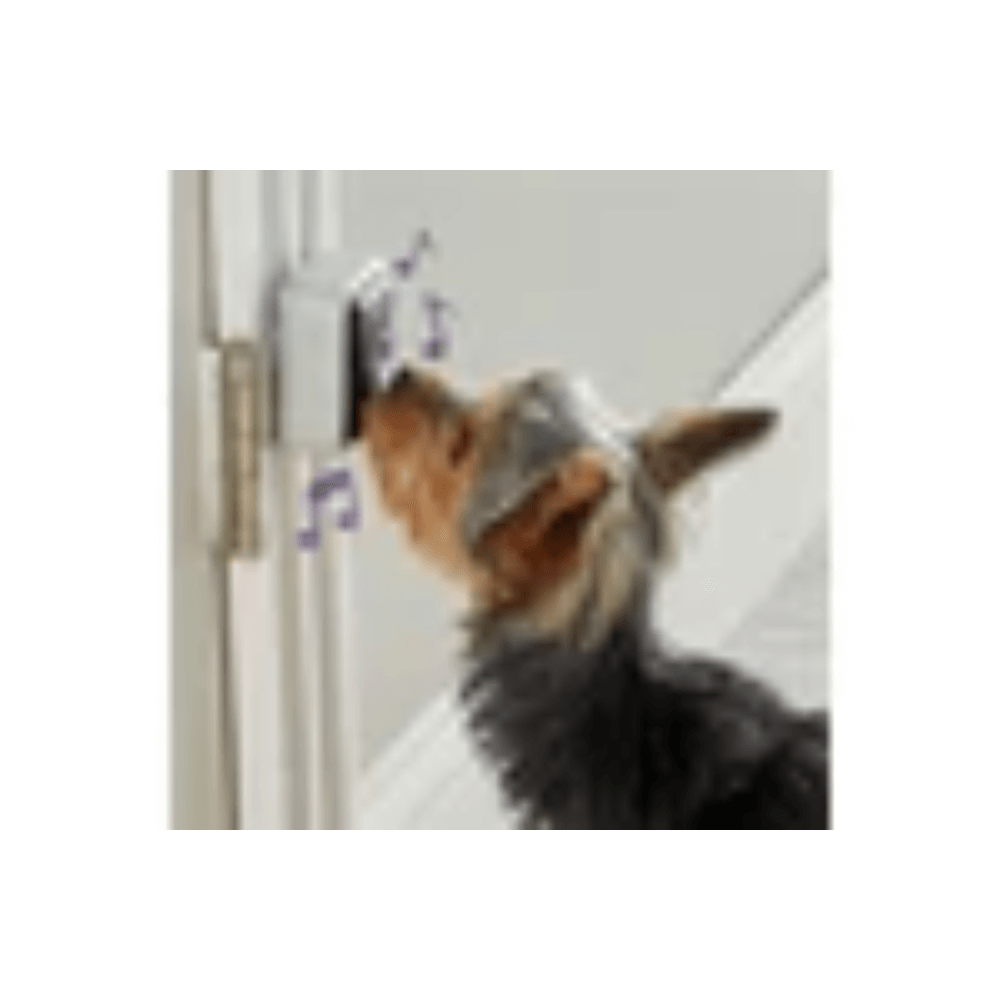 Talking Pet Doorbell