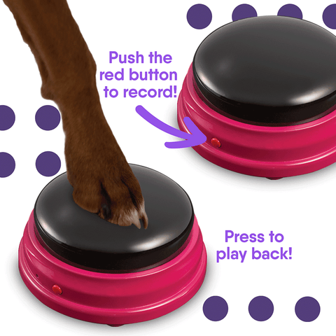 Talking Pet Starter Set