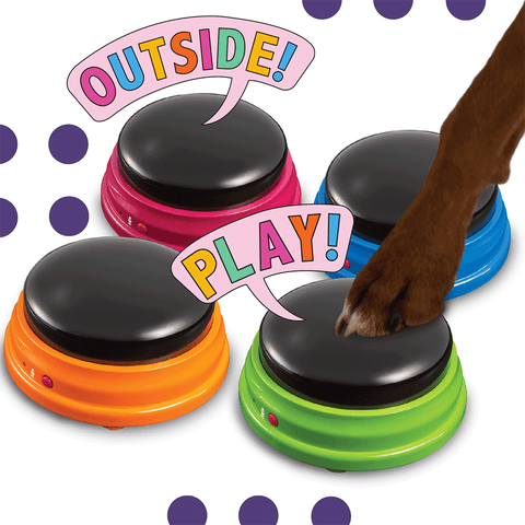 Talking Pet Starter Set
