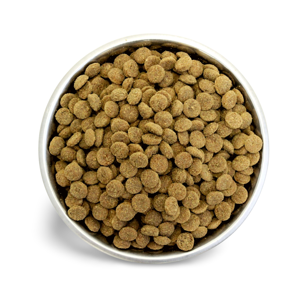 Chicken & Duck Grain Free Adult Dry Dog Food