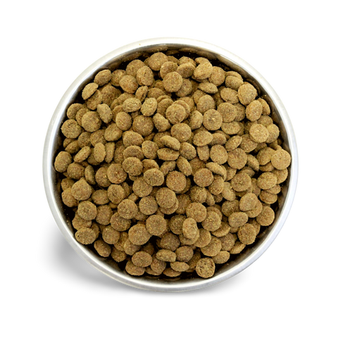 Chicken & Duck Grain Free Adult Dry Dog Food