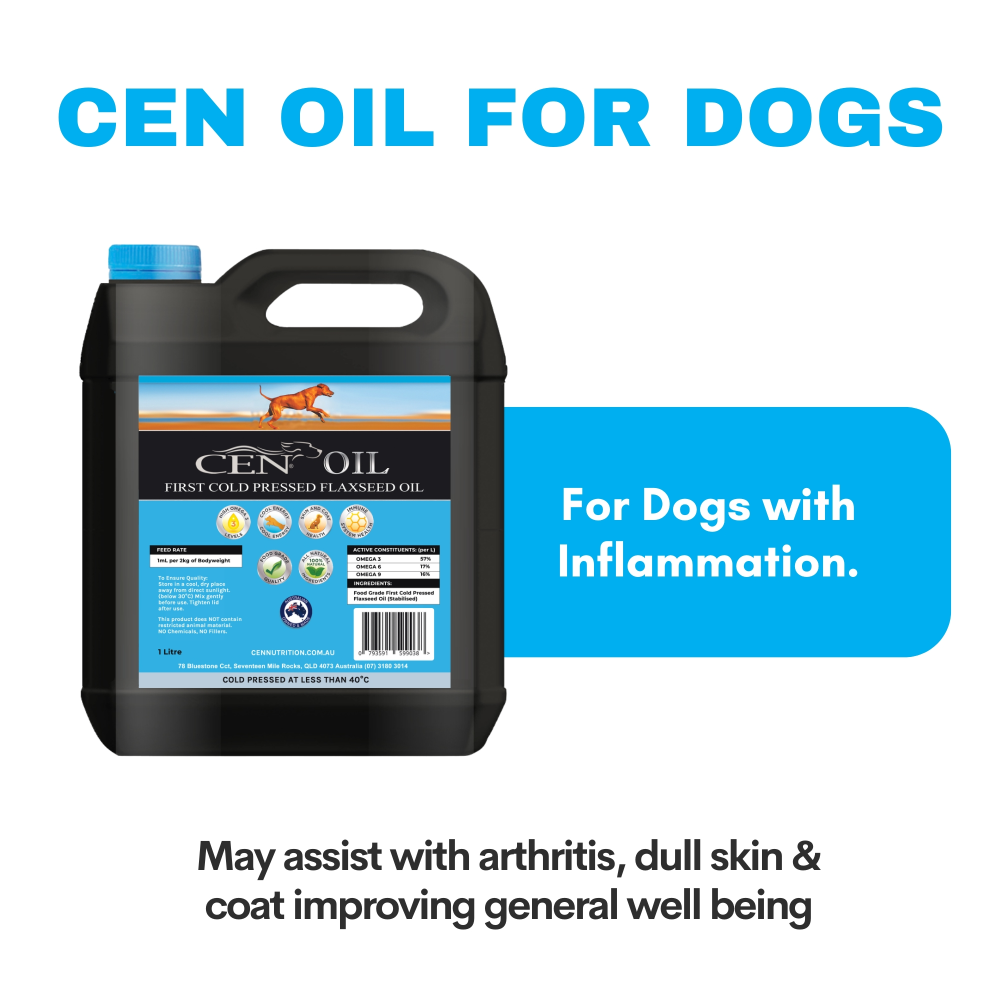 First Cold Pressed Flaxseed Oil for Dogs