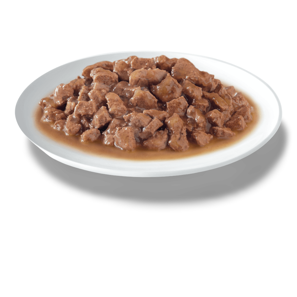 Daily Salmon In Seafood Sauce Trays Wet Cat Food