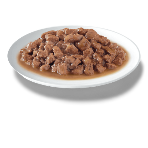 Daily Salmon In Seafood Sauce Trays Wet Cat Food