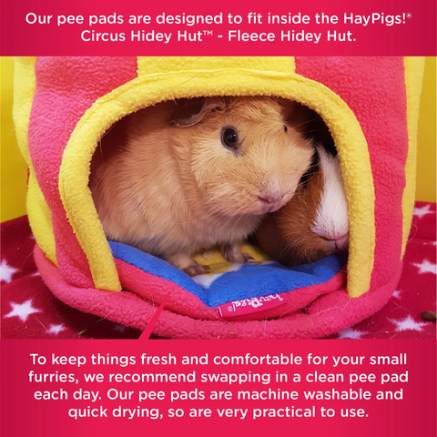 Haypigs Replacement Pee Pads For Circus Hidey Hut 2 Pack Washable