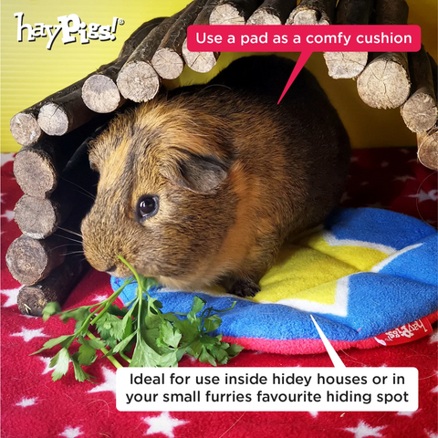 Haypigs Replacement Pee Pads For Circus Hidey Hut 2 Pack Washable