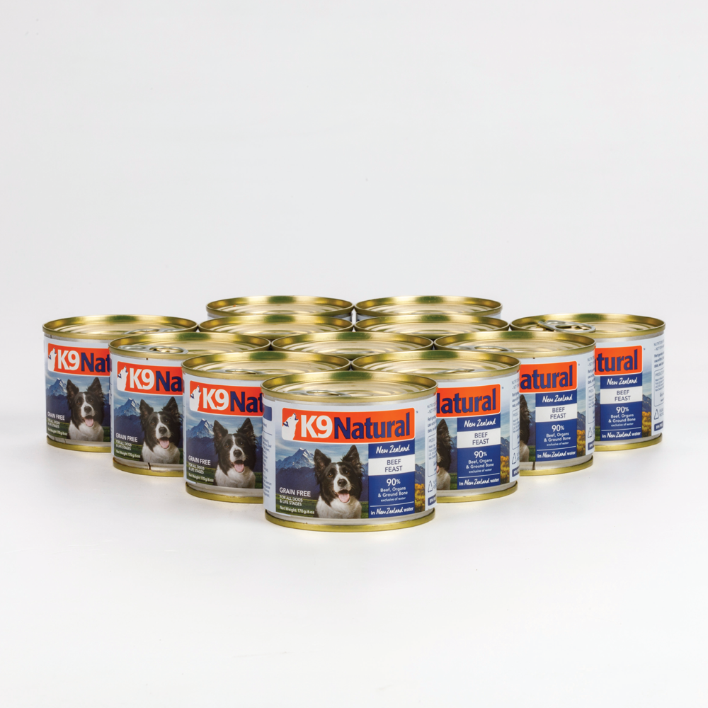 Grass-Fed Beef Feast All Lifestage Wet Dog Food