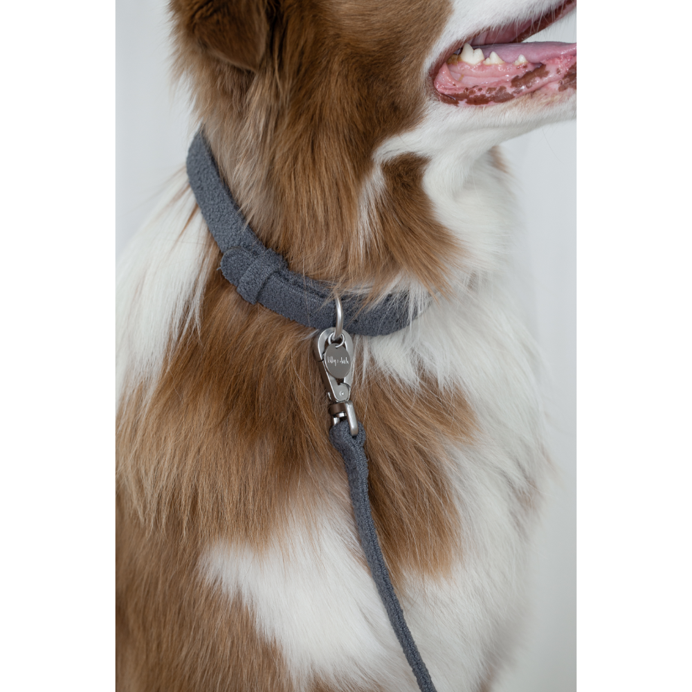 Boucle Small Dog Collar in Charcoal Grey