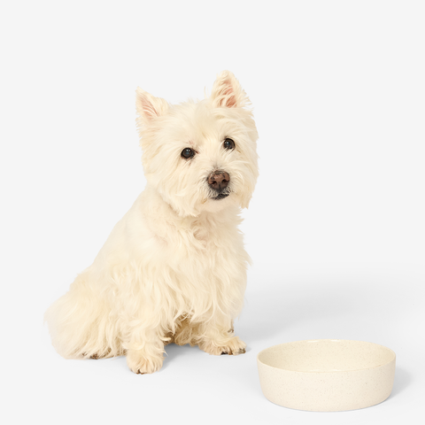 Pet Bowl Dog Milk Speckle Feeding Bowl