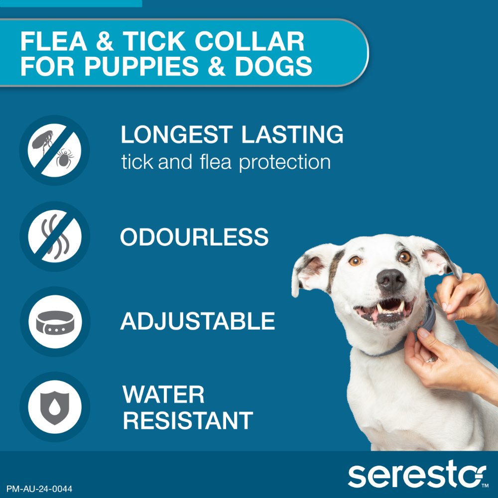 Flea & Tick Collar for Puppies and Small Dogs