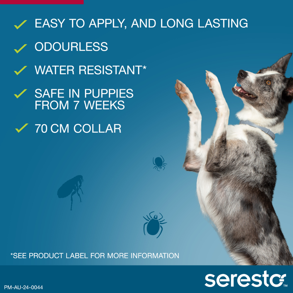 Flea & Tick Collar for Medium to Large Dogs