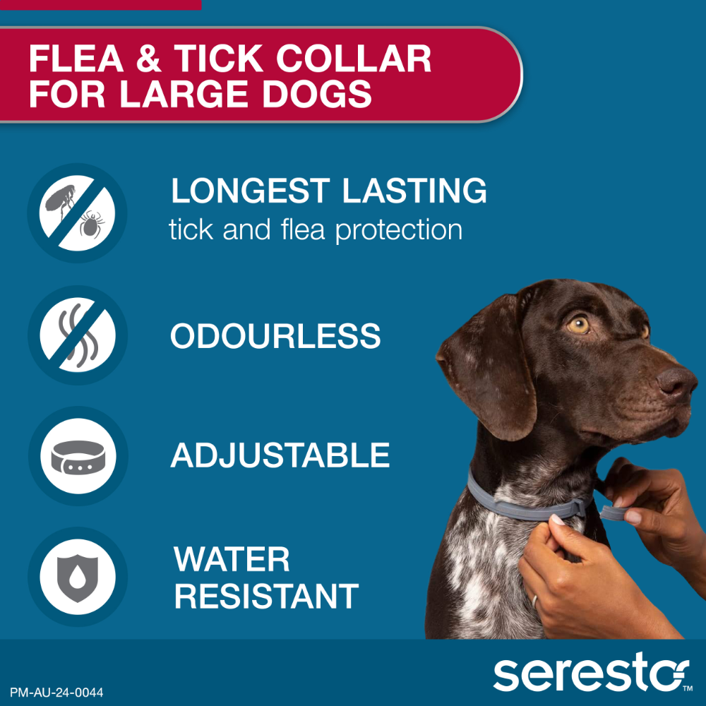 Flea & Tick Collar for Medium to Large Dogs