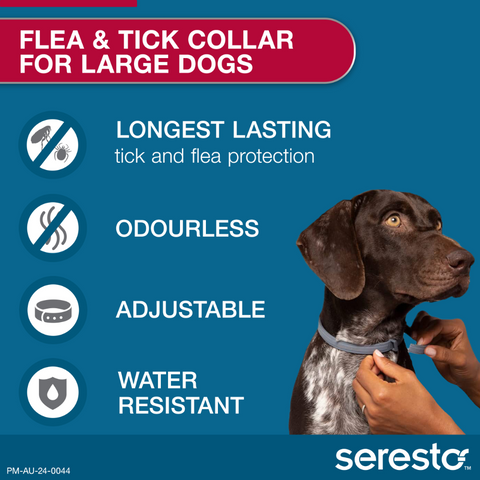 Flea & Tick Collar for Medium to Large Dogs