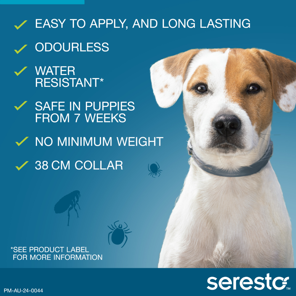 Flea & Tick Collar for Puppies and Small Dogs