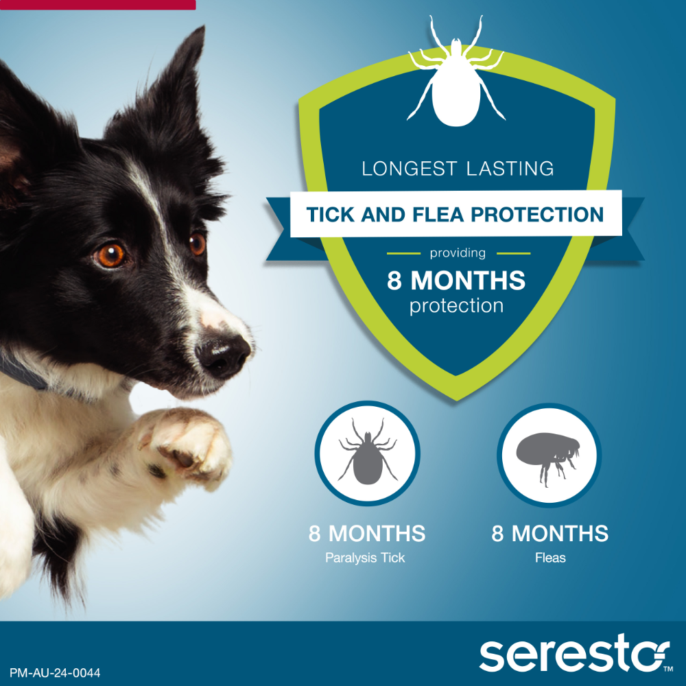 Flea & Tick Collar for Medium to Large Dogs