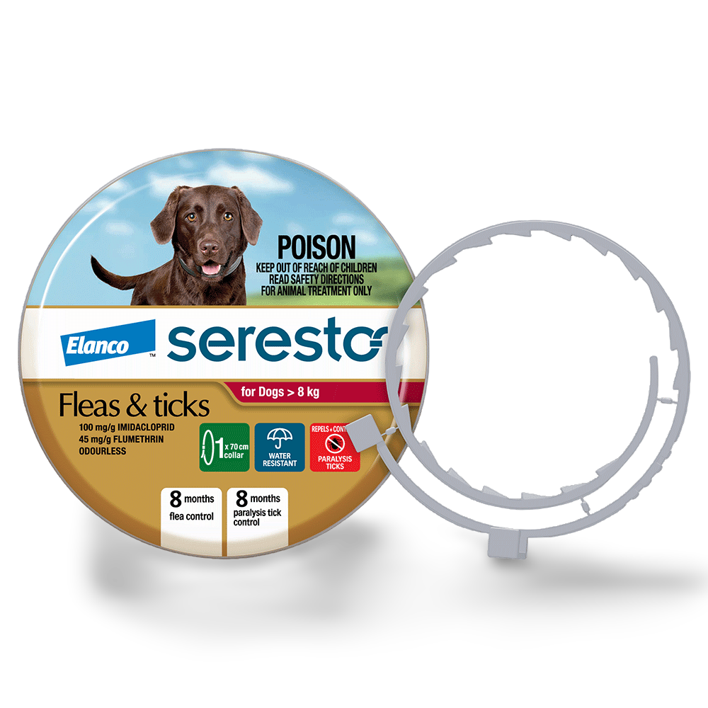 Flea & Tick Collar for Medium to Large Dogs