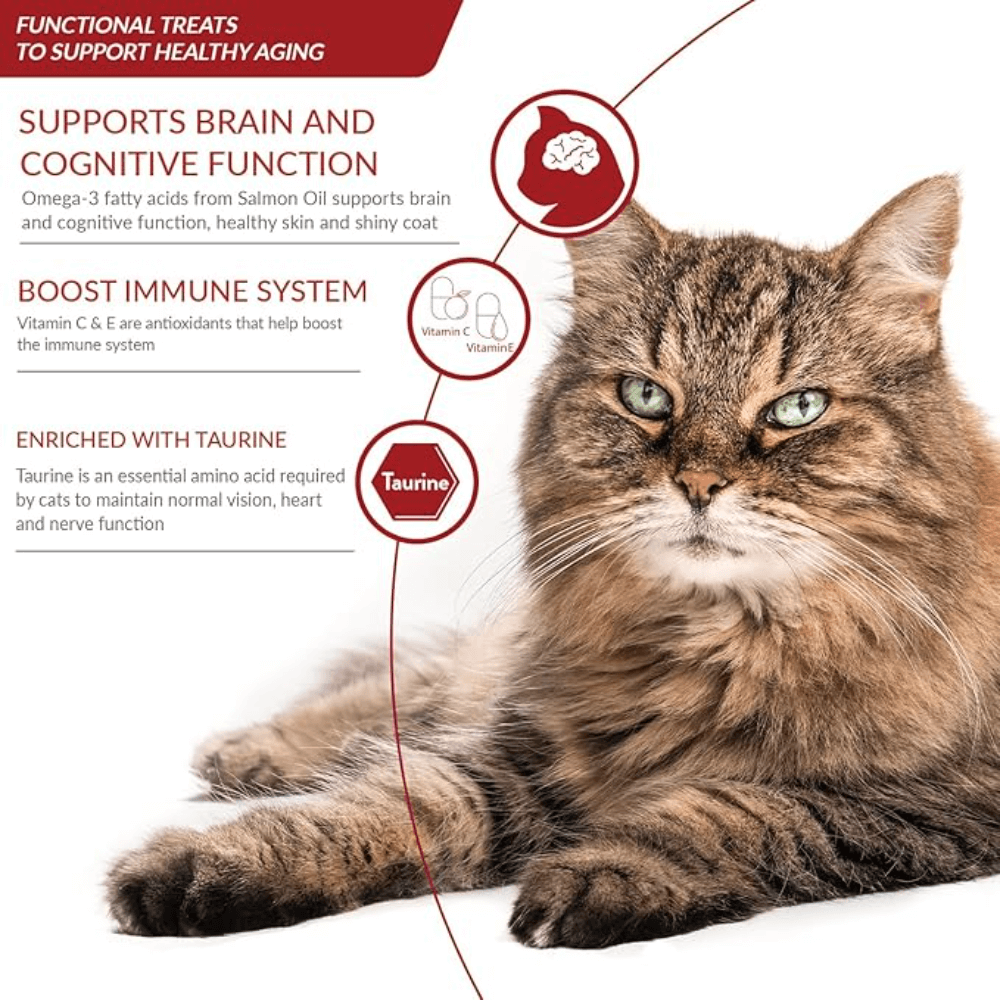 Churu For Senior Cat 10 Plus Tuna Recipe Cat Treats