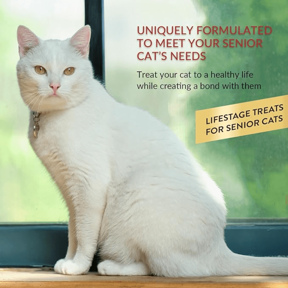 Churu For Senior Cat 10 Plus Tuna Recipe Cat Treats