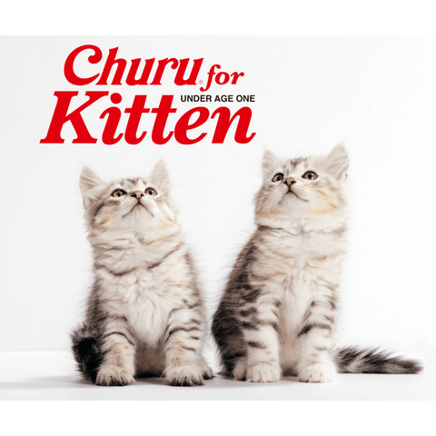 Churu Tuna Recipe Kitten Cat Treats