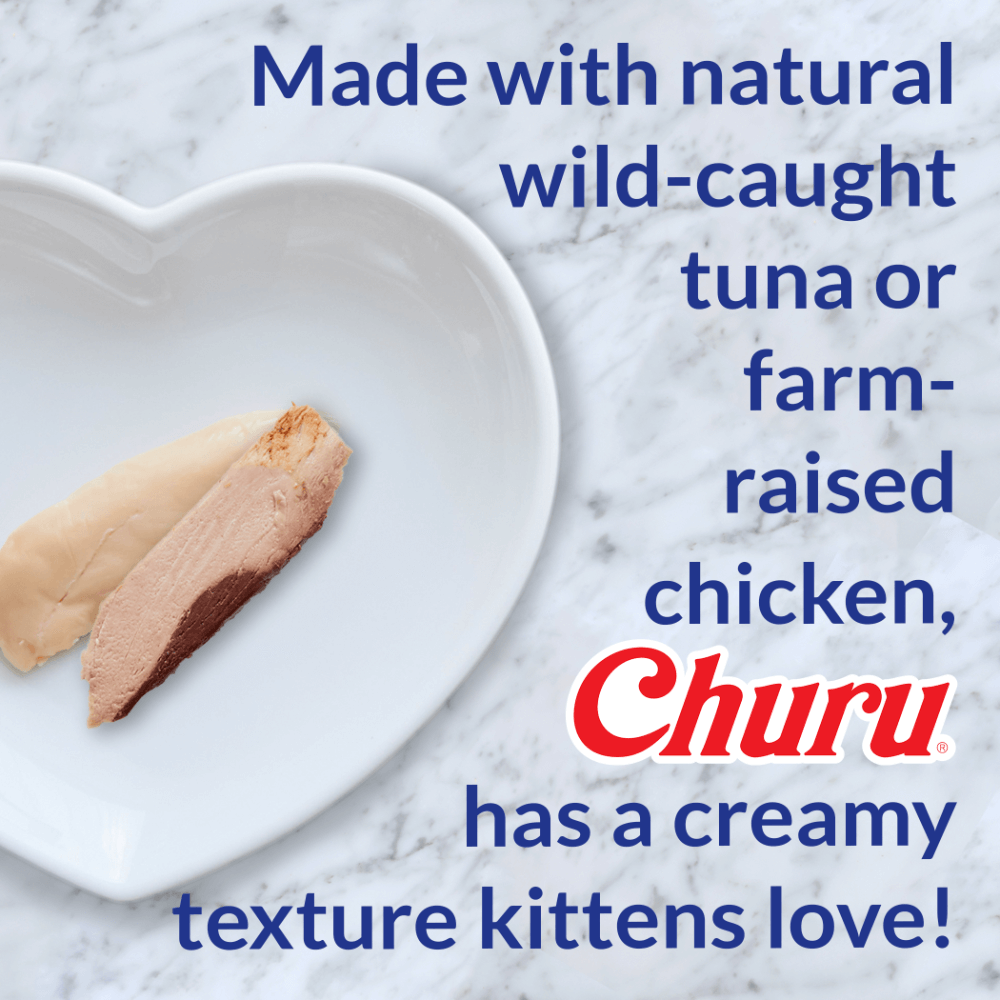 Churu Tuna Recipe Kitten Cat Treats