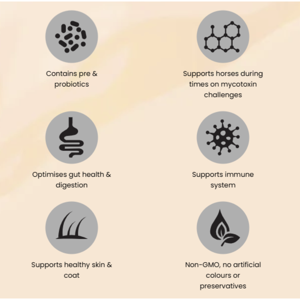 In-Sideout Gut Skin Health Optimiser for Horses
