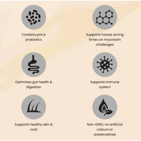 In-Sideout Gut Skin Health Optimiser for Horses