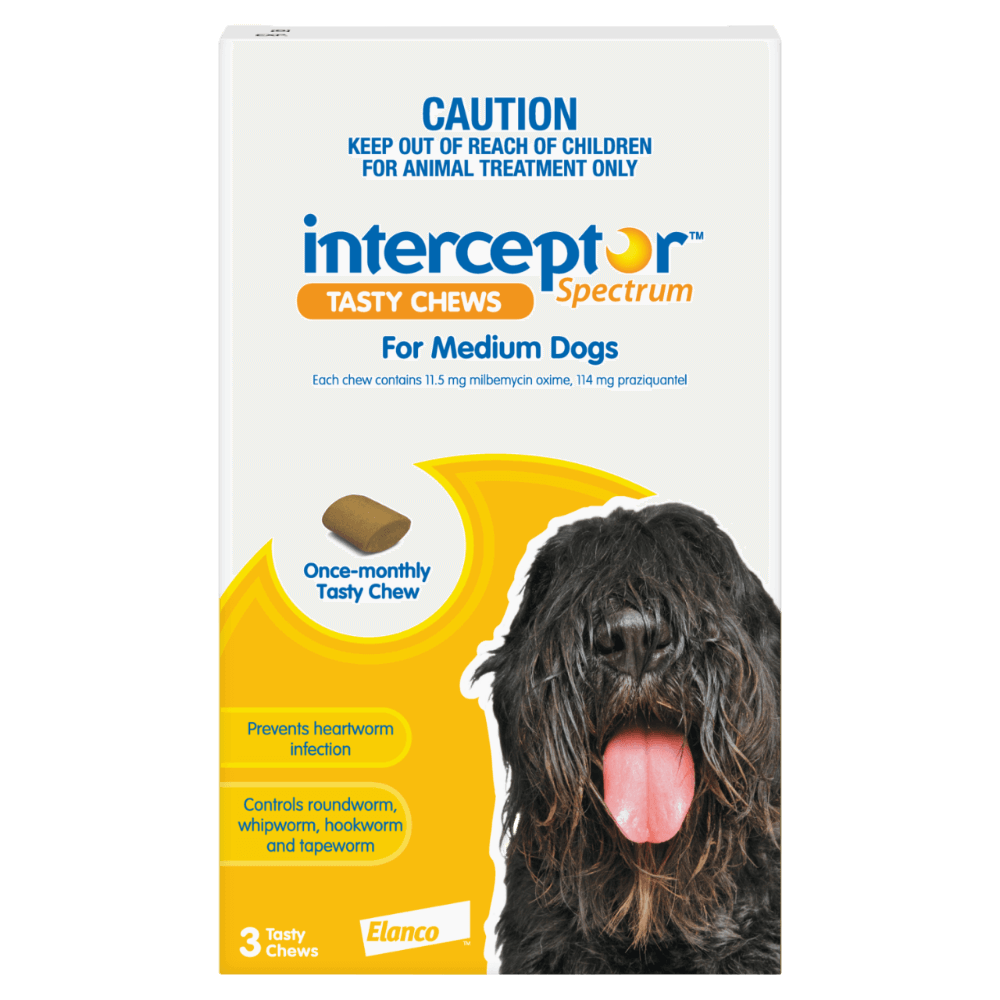 Spectrum Worming Chews Medium Dogs Yellow