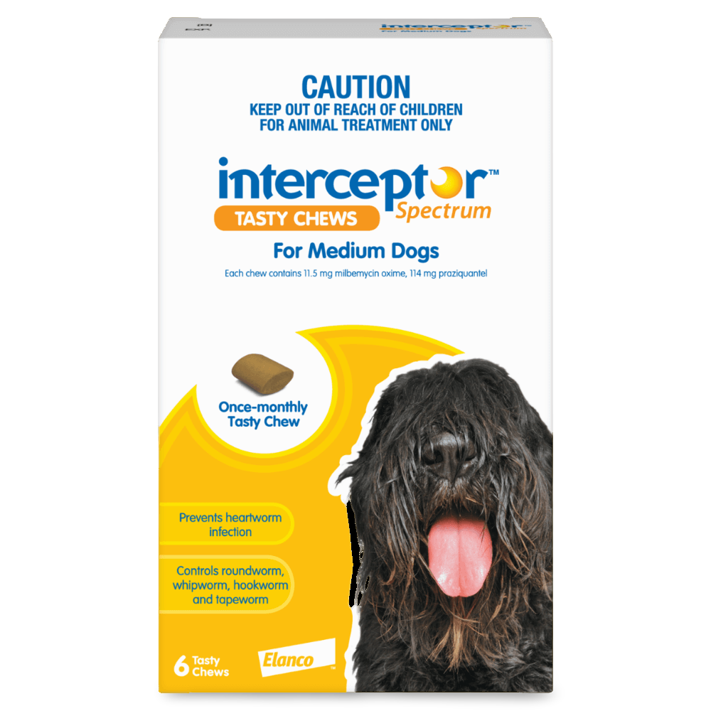Spectrum Worming Chews Medium Dogs Yellow