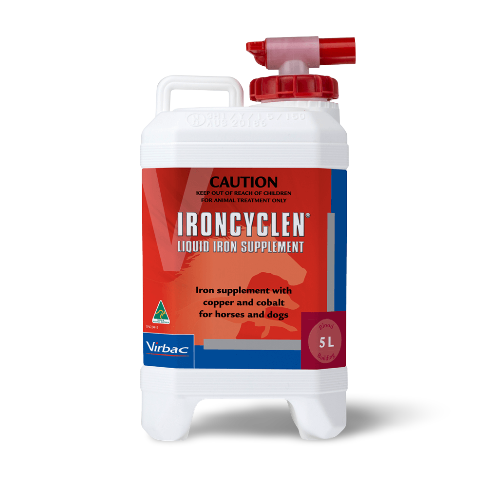 Ironcyclen Iron Supplement