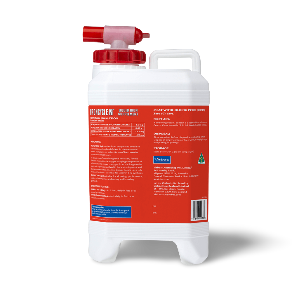 Ironcyclen Iron Supplement