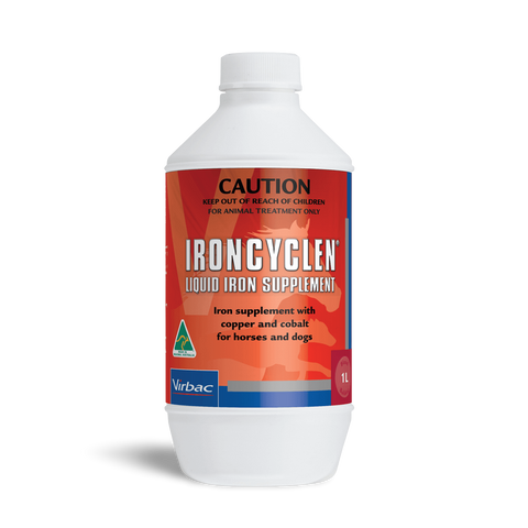 Ironcyclen Iron Supplement