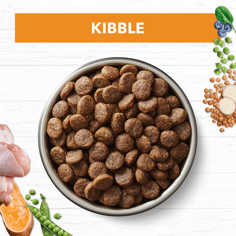 Chicken Grain Free Adult Dry Dog Food