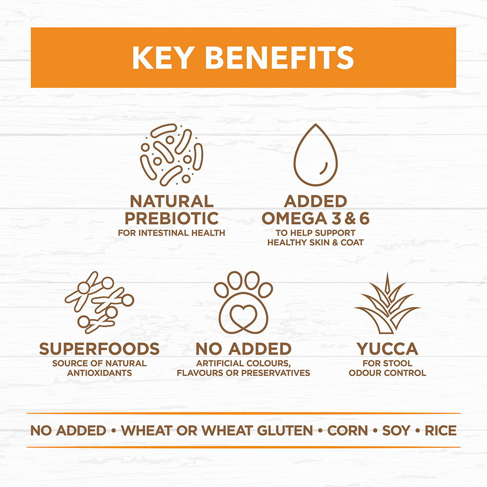 Chicken Grain Free Adult Dry Dog Food