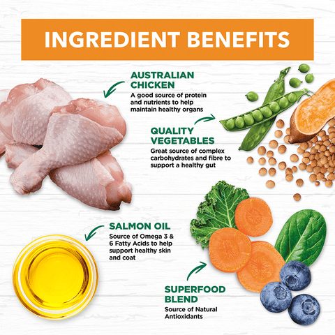 Chicken Grain Free Adult Dry Dog Food