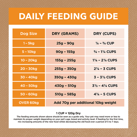 Chicken Grain Free Adult Dry Dog Food
